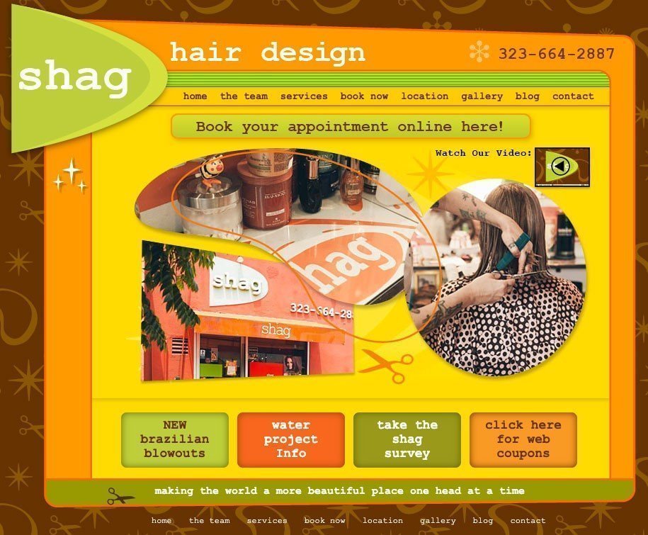 Shag Hair Salon Designs